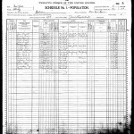 1900 US Census Page 3