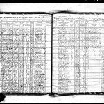 1915 NYS Census Pages 1 & 2